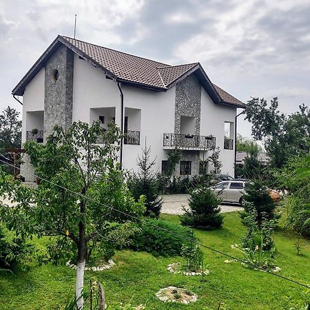 Pensiunea Codruta Cărpinişu Extérieur photo