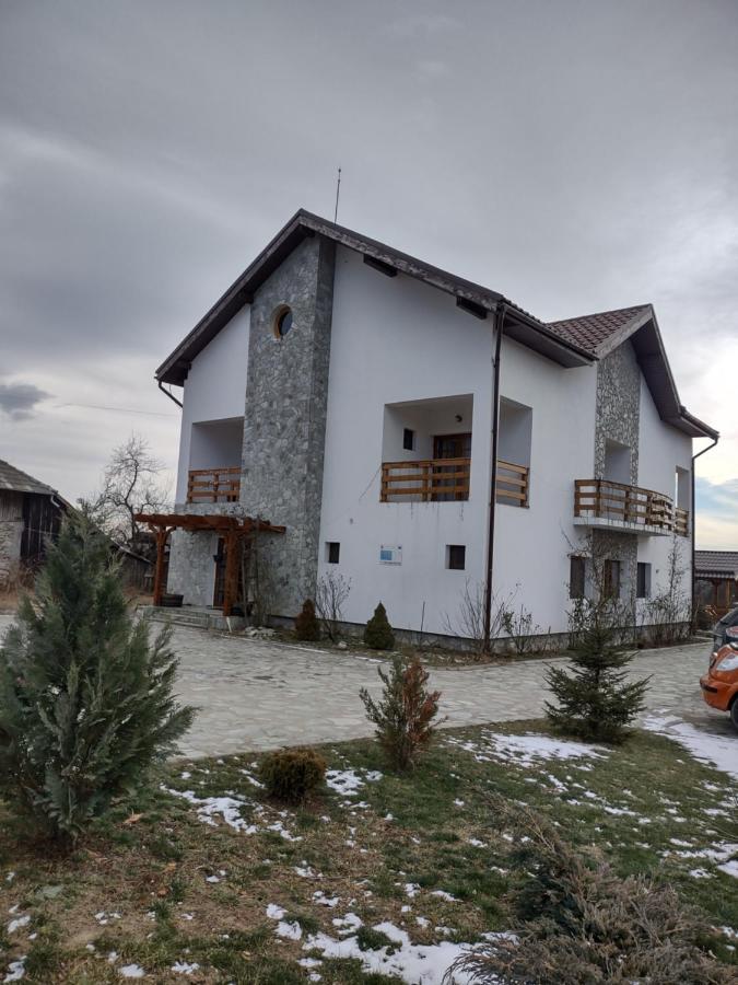 Pensiunea Codruta Cărpinişu Extérieur photo