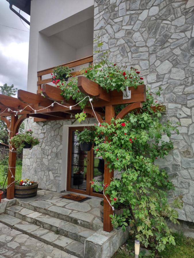 Pensiunea Codruta Cărpinişu Extérieur photo