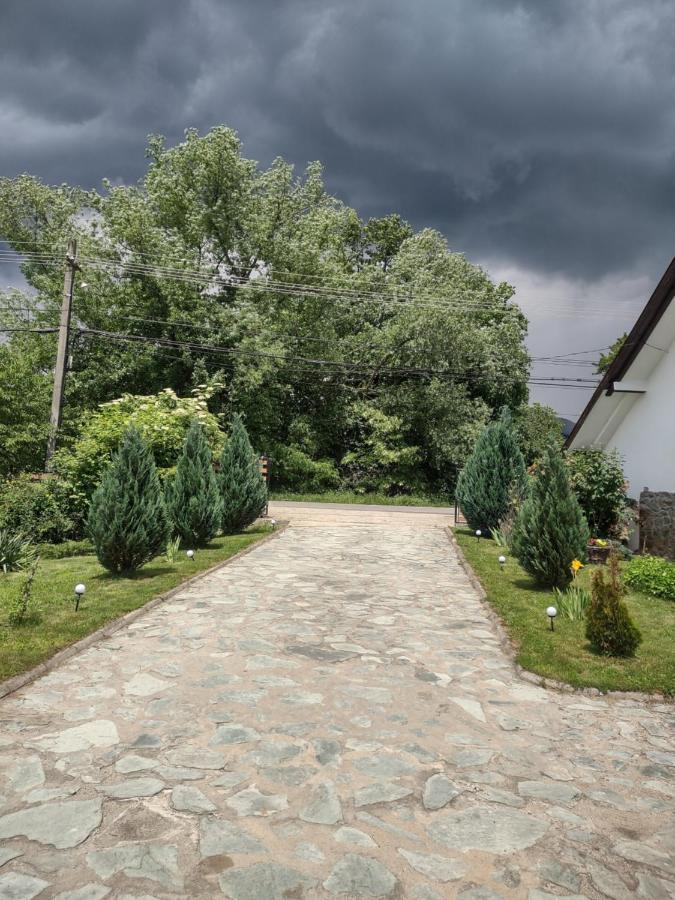 Pensiunea Codruta Cărpinişu Extérieur photo