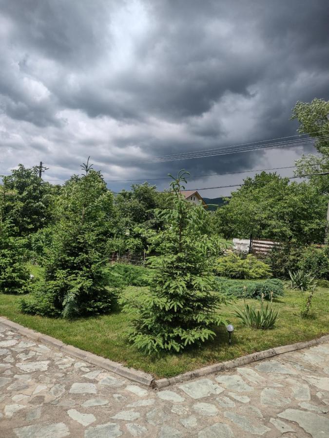 Pensiunea Codruta Cărpinişu Extérieur photo