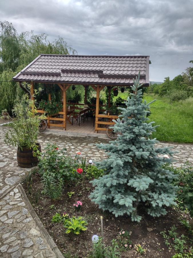 Pensiunea Codruta Cărpinişu Extérieur photo