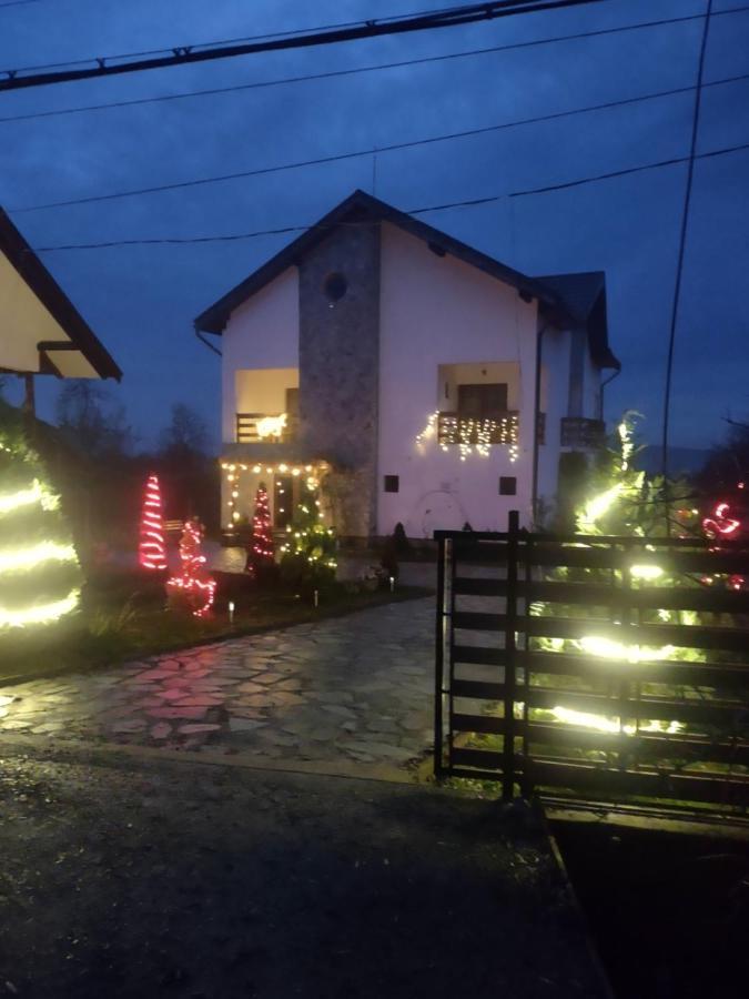Pensiunea Codruta Cărpinişu Extérieur photo