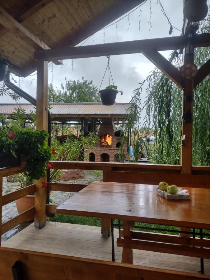 Pensiunea Codruta Cărpinişu Extérieur photo