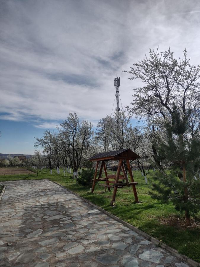Pensiunea Codruta Cărpinişu Extérieur photo