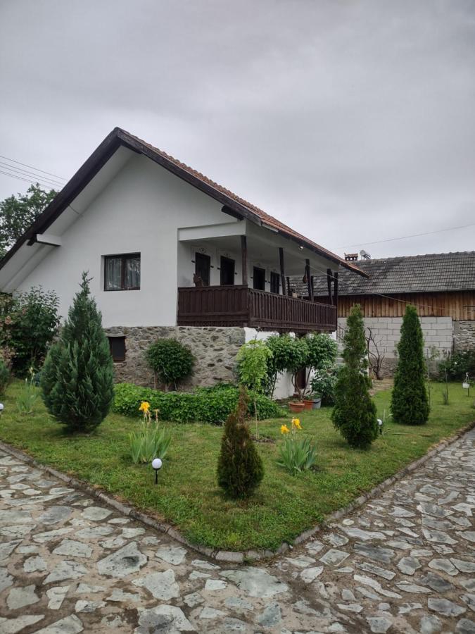 Pensiunea Codruta Cărpinişu Extérieur photo