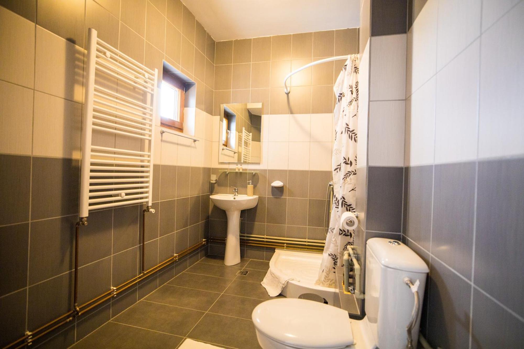 Pensiunea Codruta Cărpinişu Extérieur photo