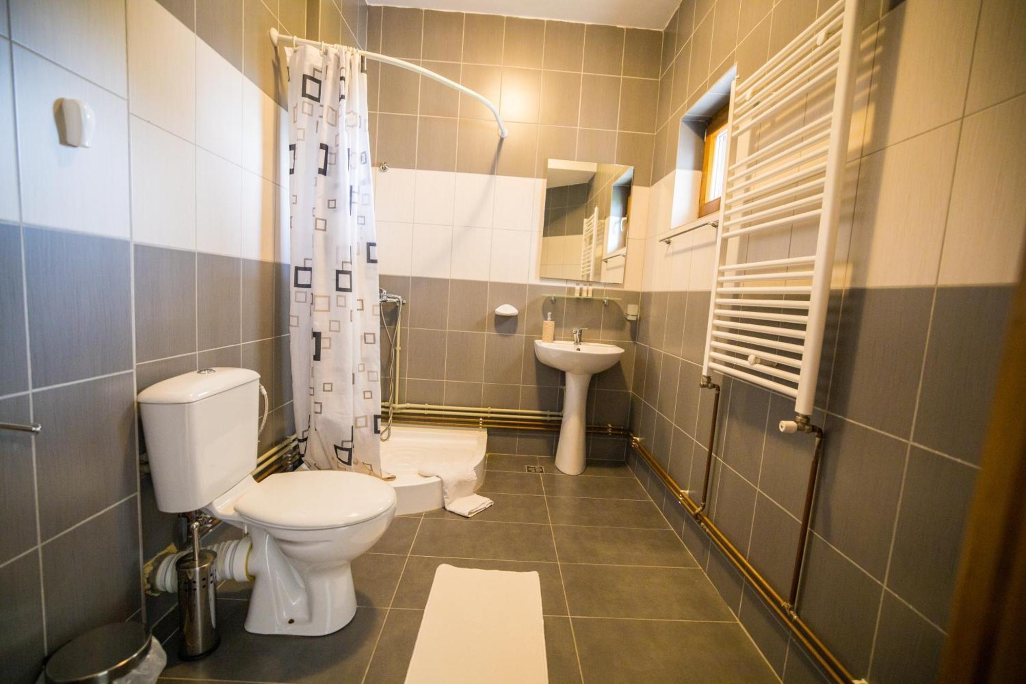 Pensiunea Codruta Cărpinişu Extérieur photo
