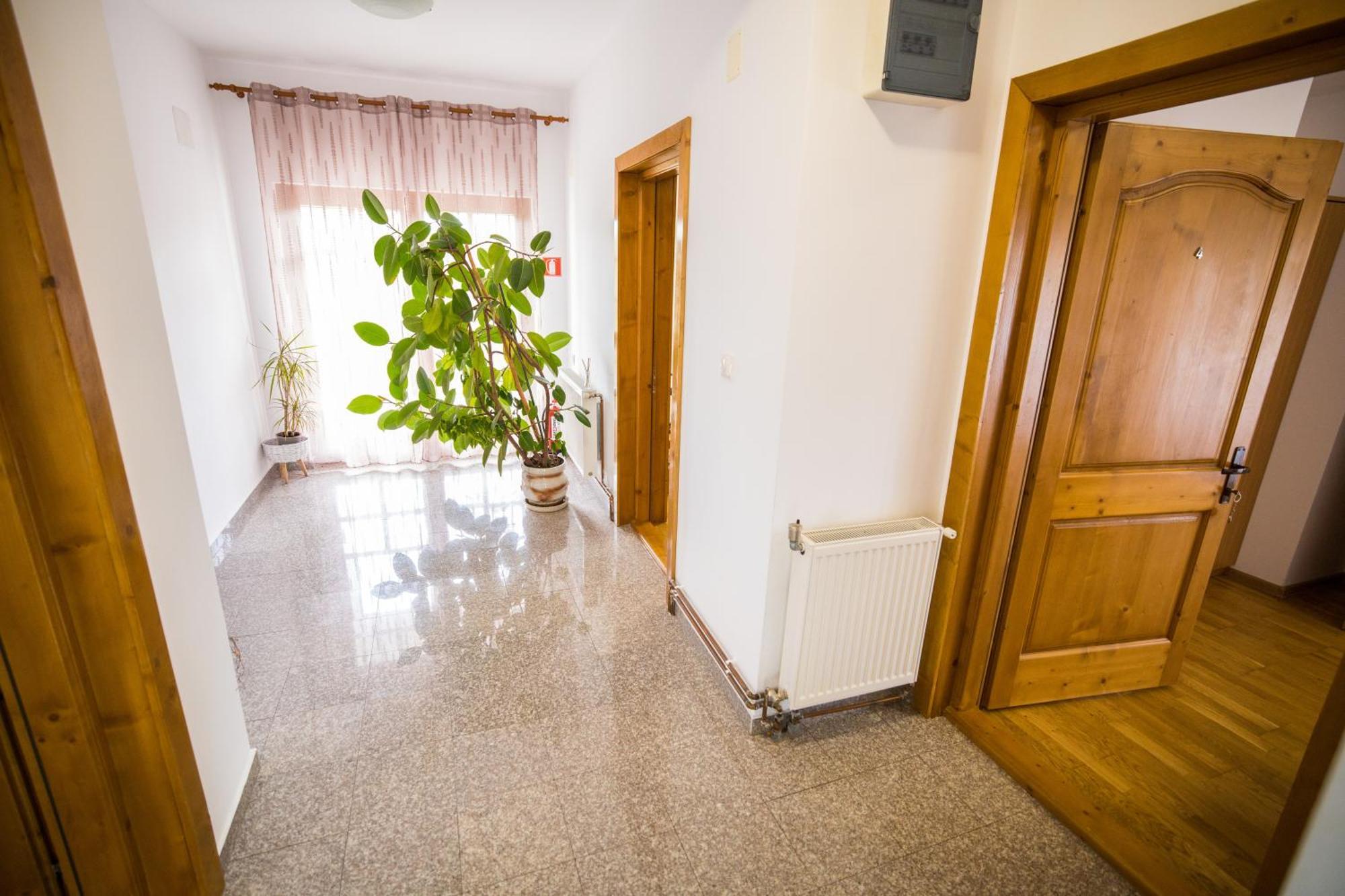 Pensiunea Codruta Cărpinişu Extérieur photo