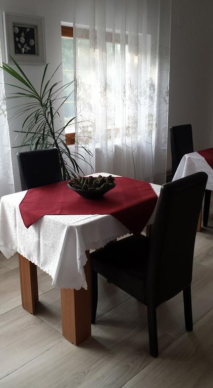 Pensiunea Codruta Cărpinişu Extérieur photo