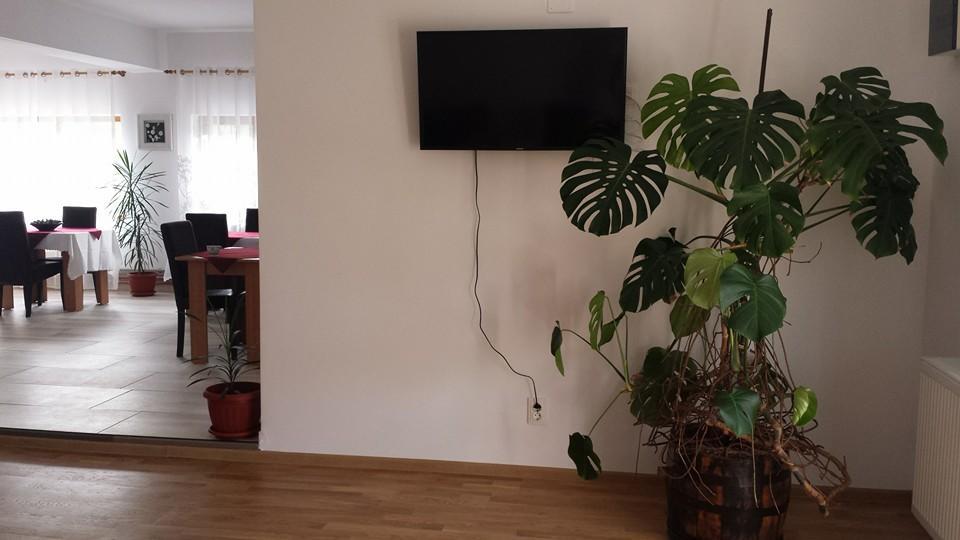 Pensiunea Codruta Cărpinişu Extérieur photo