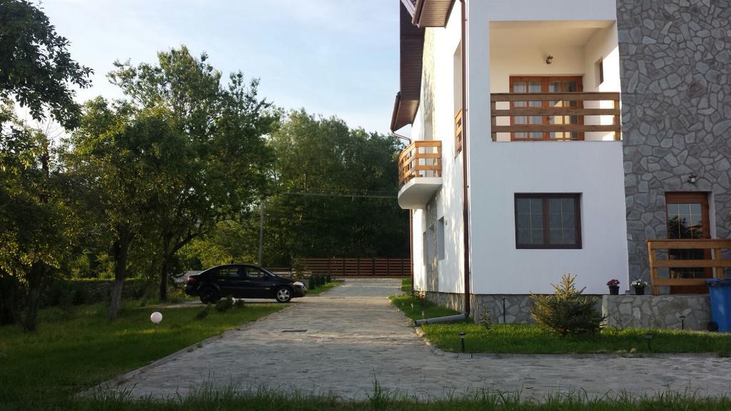 Pensiunea Codruta Cărpinişu Extérieur photo
