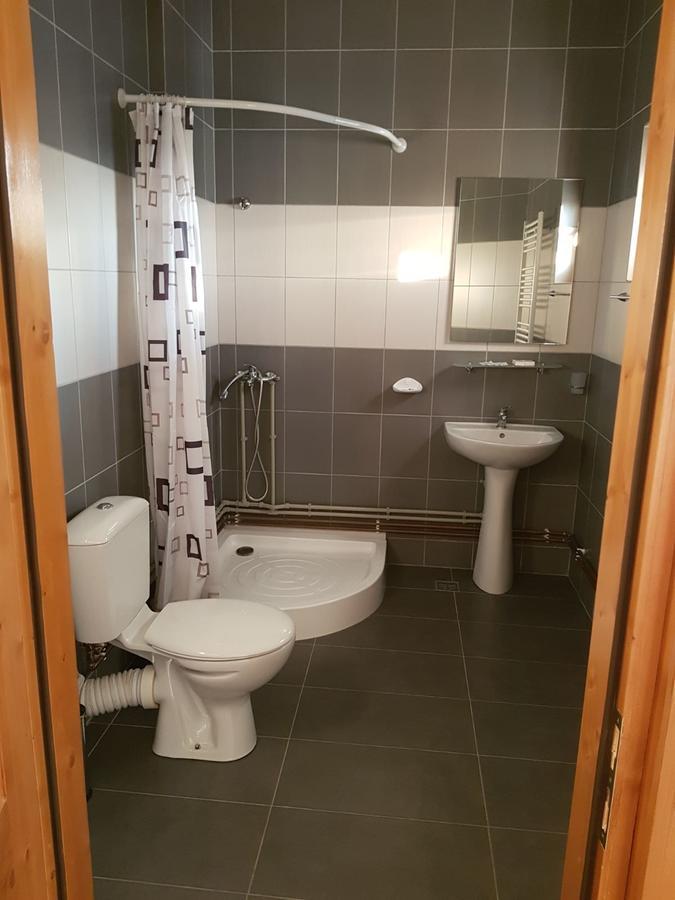 Pensiunea Codruta Cărpinişu Extérieur photo