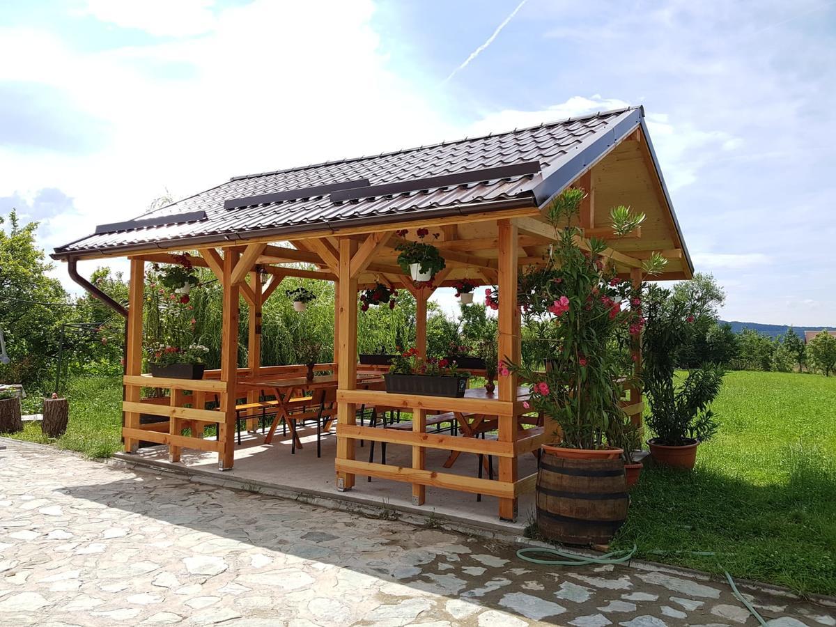 Pensiunea Codruta Cărpinişu Extérieur photo