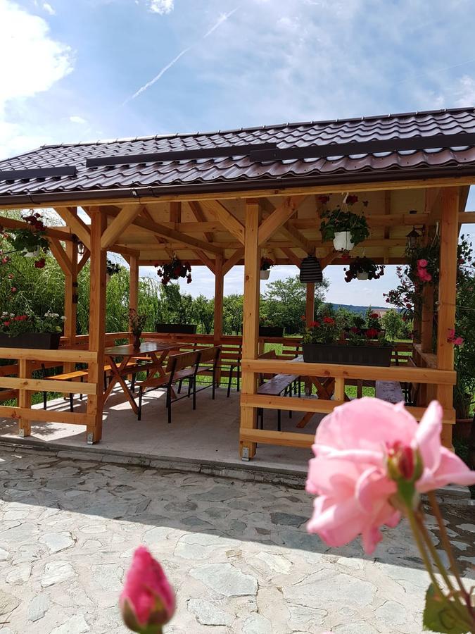 Pensiunea Codruta Cărpinişu Extérieur photo